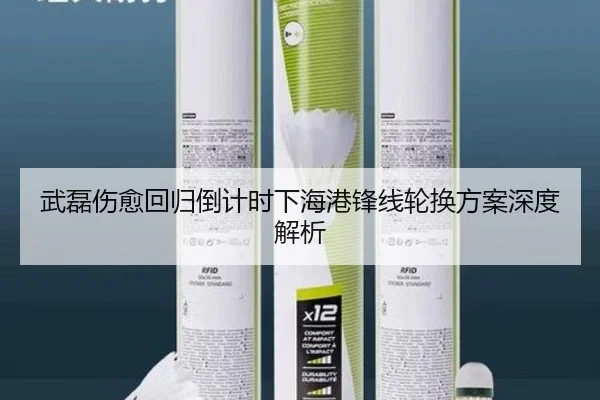 武磊伤愈回归倒计时下海港锋线轮换方案深度解析