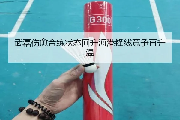 武磊伤愈合练状态回升海港锋线竞争再升温